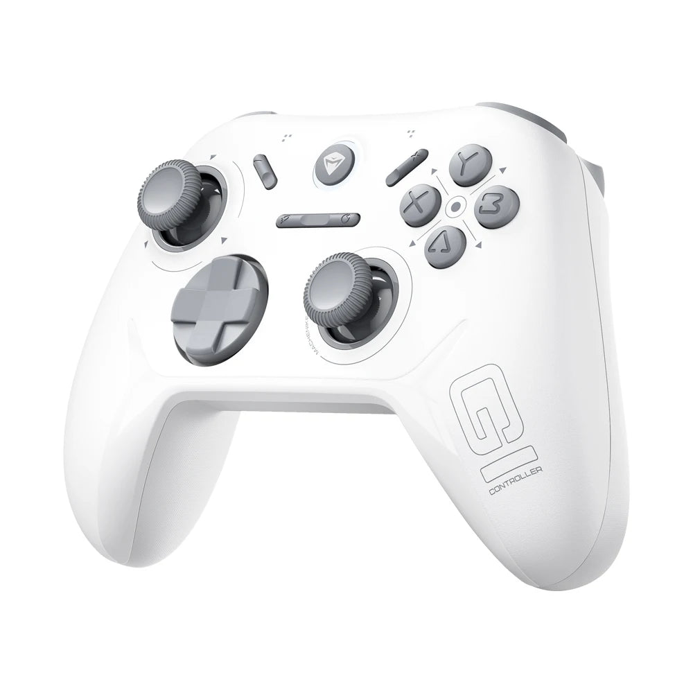 Wireless Gaming Controller For PC 